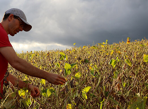 Dia de Produtividade promove atualização e novidades para os desafios do campo