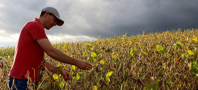 Dia de Produtividade promove atualização e novidades para os desafios do campo