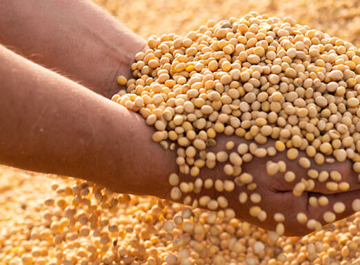 Conheça as soluções que estão revolucionando a produtividade no campo