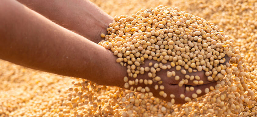 Conheça as soluções que estão revolucionando a produtividade no campo