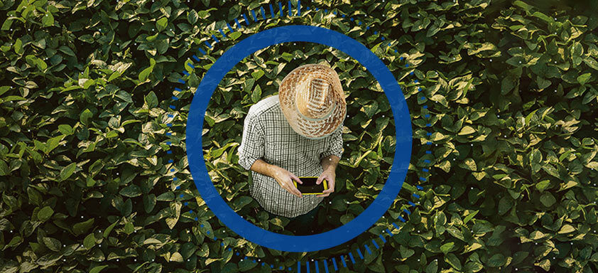 Quer saber quem são os produtores que estão experimentando o futuro com a Soja hoje?