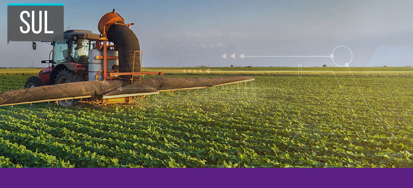 No Sul, o programa de fungicidas Syngenta promoveu aumento de 2,4 sacas por hectare. Veja o relato dos produtores