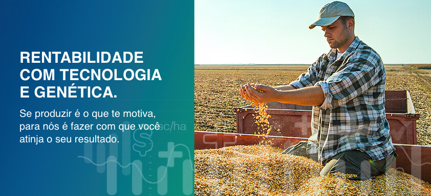 Tratamento de Sementes Industrial é sinônimo de maior proteção