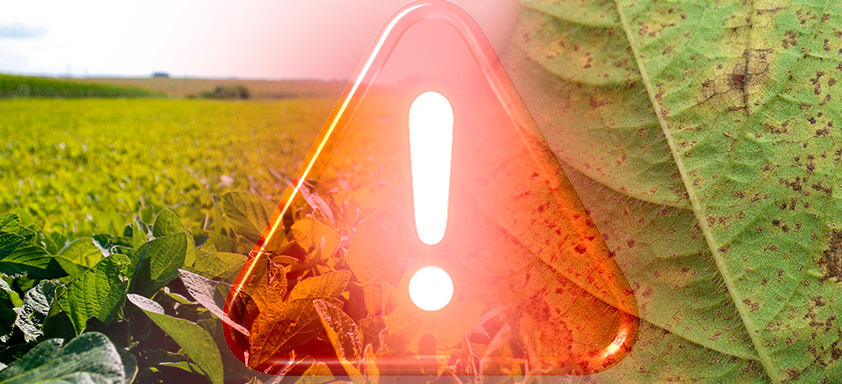 Ocorrências da ferrugem asiática registradas em lavouras de soja no Brasil