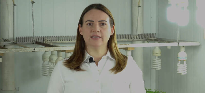 Alade® e Mitrion™ | De Norte a Sul, um mundo de conhecimento – Ep. 1: Carolina Deuner