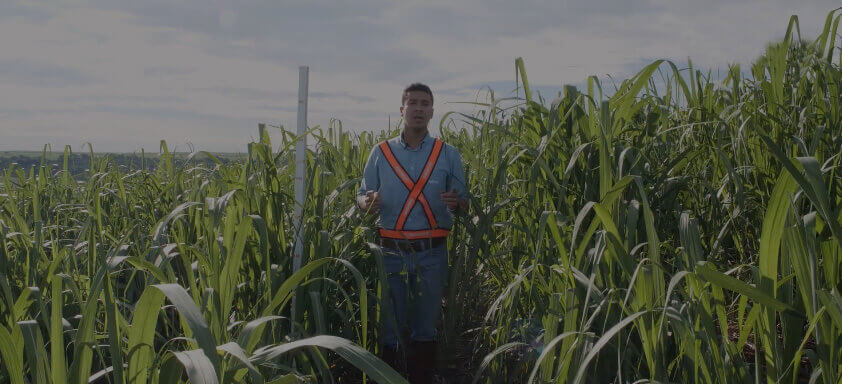 Na Rota do Controle com Grover | Patrocínio Paulista - SP | Ep. 10