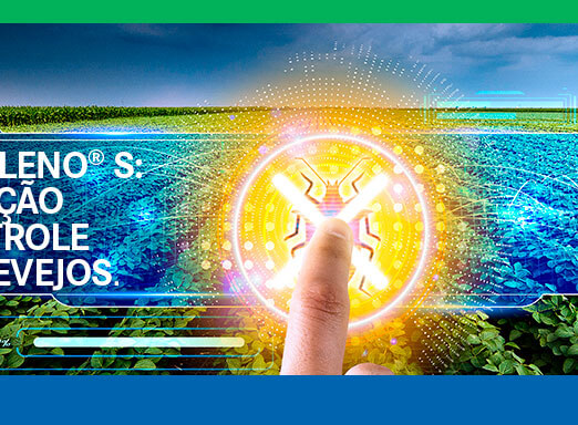 Pesquisa e alta tecnologia nos estágios iniciais do plantio