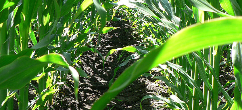 Expedição Calaris chega em 10 Estados do Brasil para mostrar a evolução das atrazinas