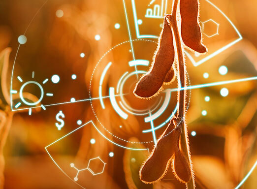 Estação Novas Tecnologias: as soluções Syngenta para 2020 