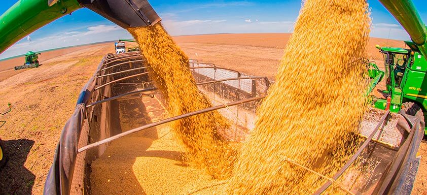 Agriculture Value Chain: soja e milho serão exportados diretamente para a China