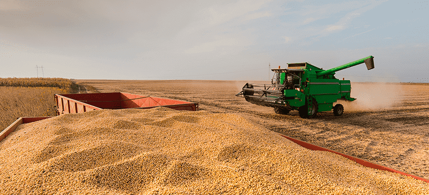 Brasil deve colher safra recorde de soja em 2020