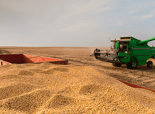 Brasil deve colher safra recorde de soja em 2020