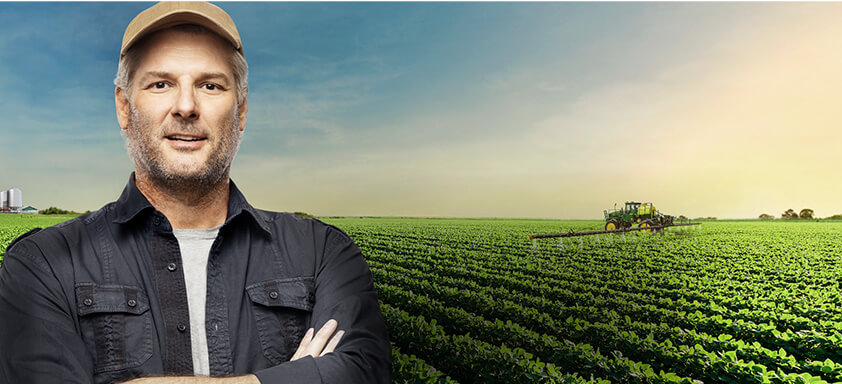 Doenças da soja: como prevenir a lavoura desde o início 