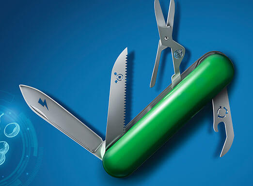 Soja: importância do manejo no complexo de doenças 