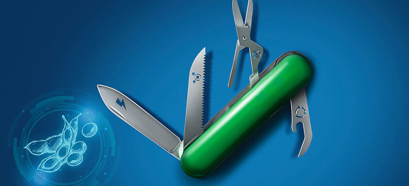 Soja: importância do manejo no complexo de doenças 