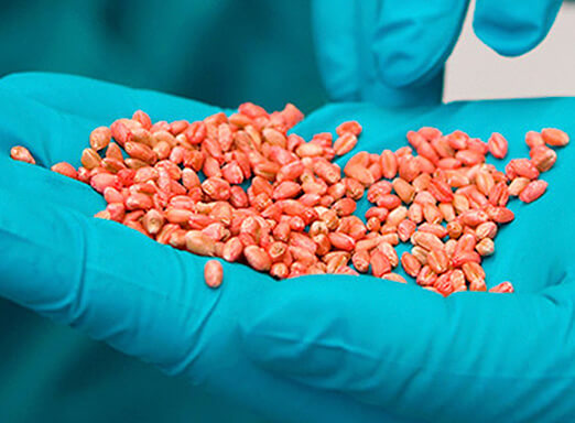 Por que o tratamento de sementes industrial é importante?