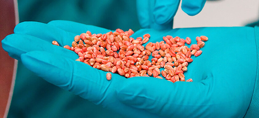 Por que o tratamento de sementes industrial é importante?