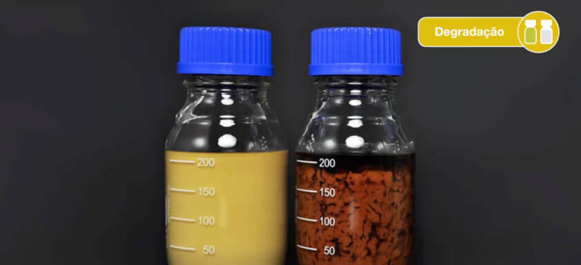 Estabilidade química