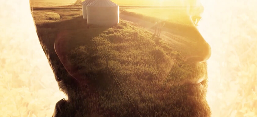 Centro de Excelência potencializa talentos para impulsionar a evolução do agronegócio