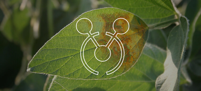 Potencialize o controle de doenças da soja com Cypress