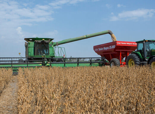 Produtores do Sul comemoram aos resultados de produtividade 