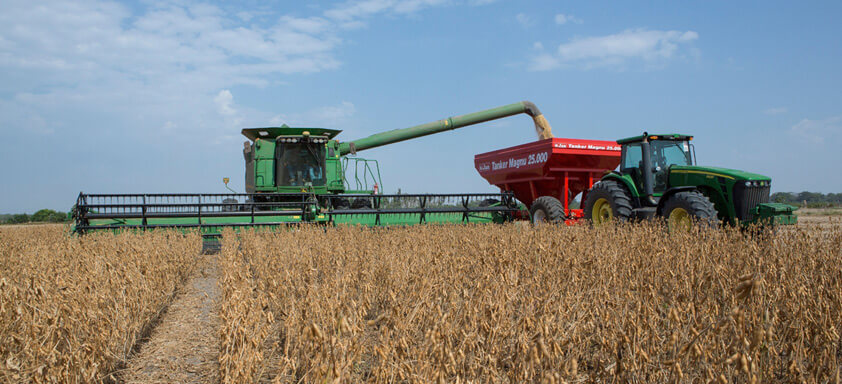 Produtores do Sul comemoram aos resultados de produtividade 