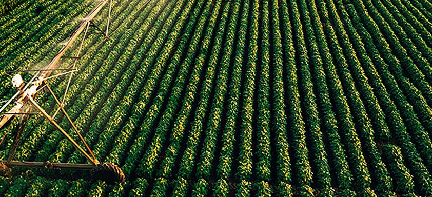 A importância da análise NDVI e por que fazê-la