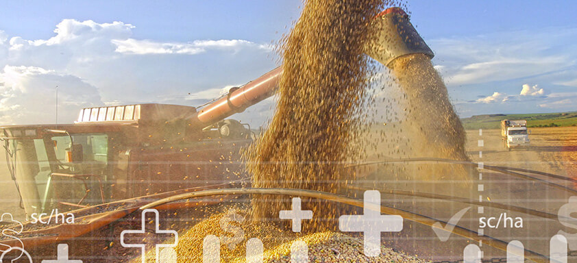 124,2 milhões de toneladas: Brasil deve colher safra recorde de soja em 2020