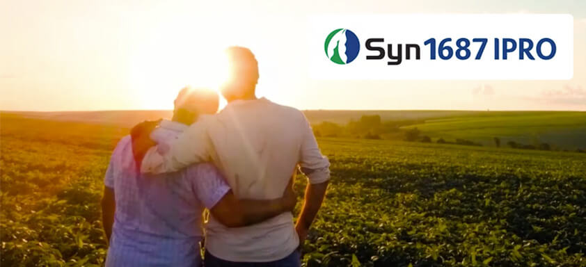 Hora de plantar segurança e colher alta produtividade com a SYN 1687 IPRO