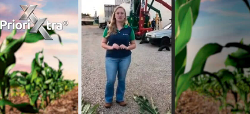 Compare os resultados de Priori Xtra frente ao padrão produtor!