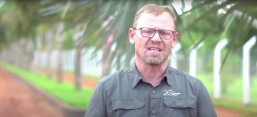 Conheça a doença que pode diminuir a produtividade da sua lavoura