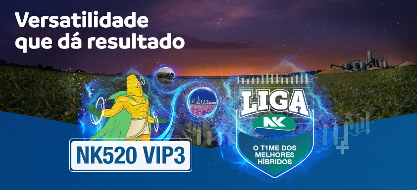 Conheça o NK520 VIP3, o lançamento de milho da NK com dupla aptidão