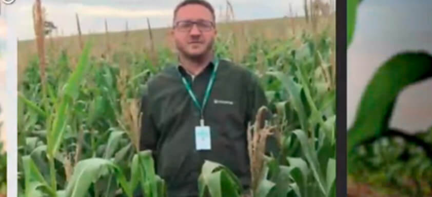 Controle as doenças do milho com superioridade!