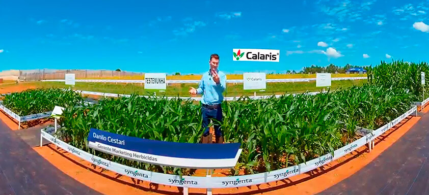 Descubra a ferramenta essencial para o manejo de braquiária!