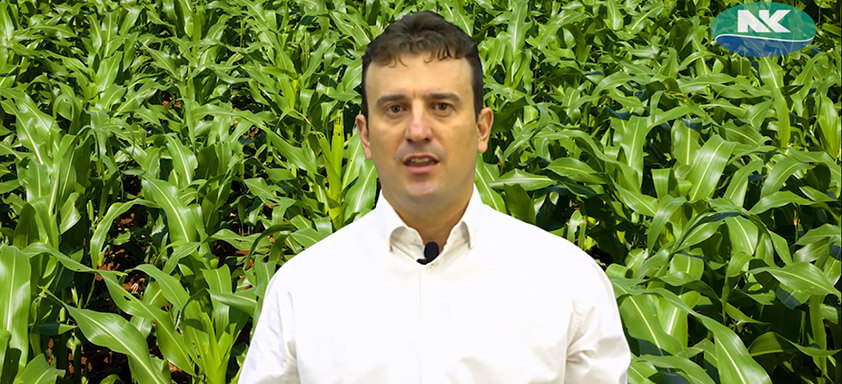 Dia de Campo Virtual – Palotina – PR