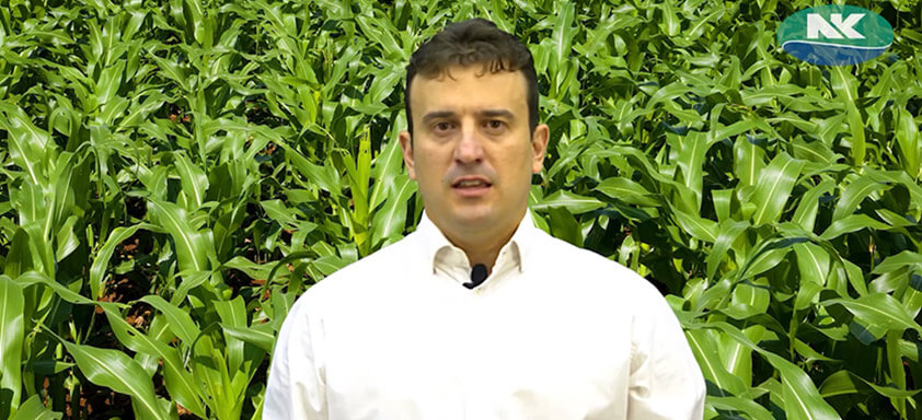 Dia de Campo Virtual – Palotina - PR