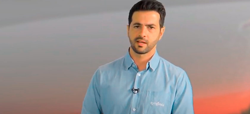 Elimine as gramíneas e folhas largas com uma única solução!