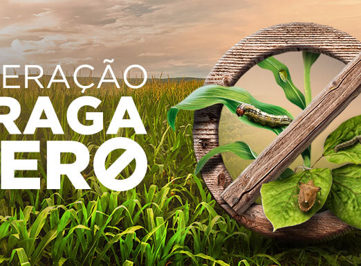 Encontros da Operação Praga Zero focam na importância do manejo adequado para conter a pressão de insetos nocivos à lavoura