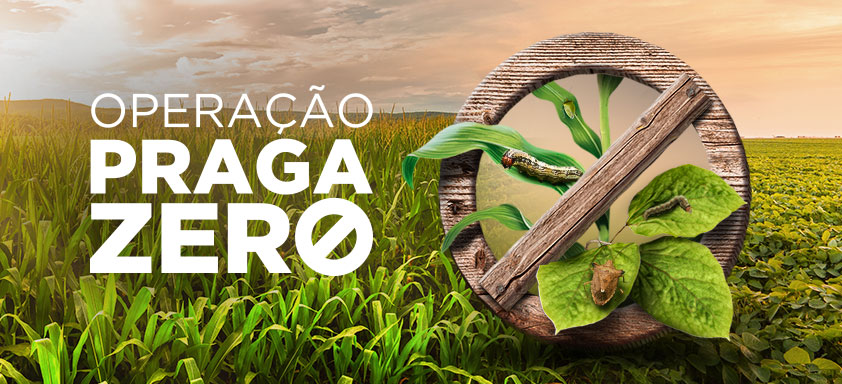 Encontros da Operação Praga Zero focam na importância do manejo adequado para conter a pressão de insetos nocivos à lavoura