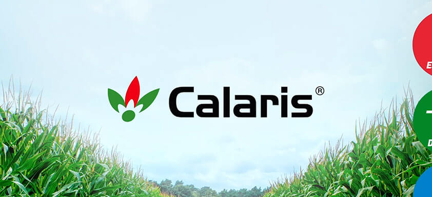 Filme Calaris Technology