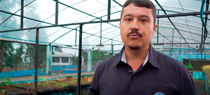 Ganhe mais produtividade com o novo pós-emergente da cana!