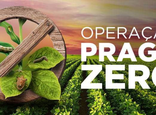 Soluções digitais são aliadas do produtor para controle eficaz de pragas