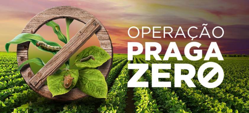 Soluções digitais são aliadas do produtor para controle eficaz de pragas