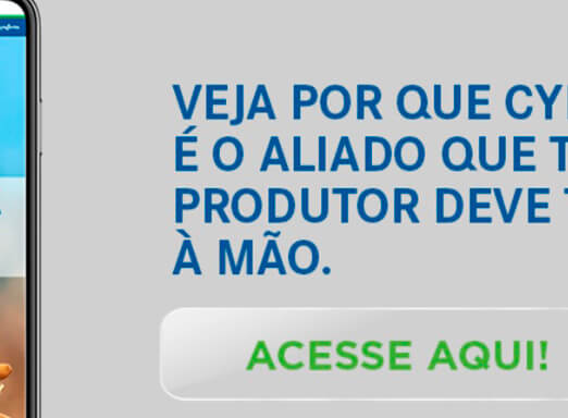 Veja por que Cypress é o aliado que todo produtor deve ter mão