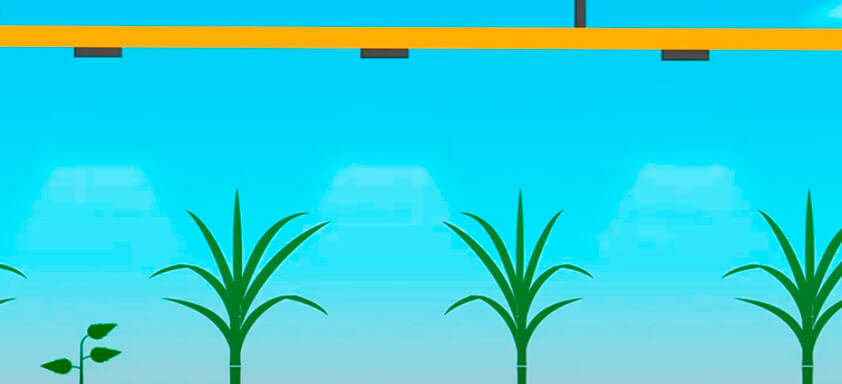 Maior controle de daninhas com doses menores de produto!