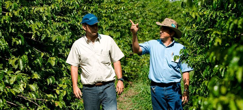 Nucoffee: auxiliando o produtor de café, da lavoura até a venda