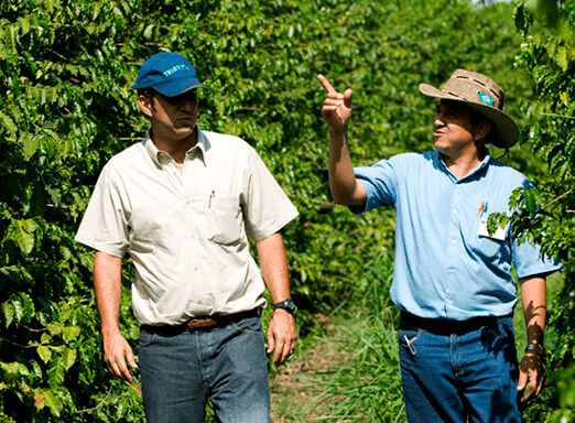 Nucoffee: auxiliando o produtor de café, da lavoura até a venda