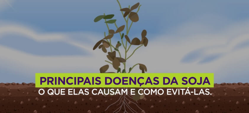 Principais Doenças da Soja