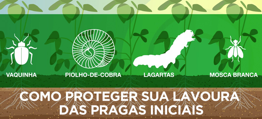 Proteja a sua Lavoura das Pragas iniciais