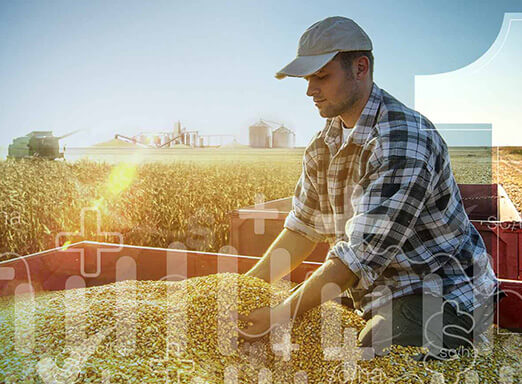 Relançamento da marca de Sementes NK completa 1 ano